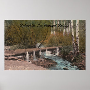 Poster Ponte de Robert E. Lee Natural