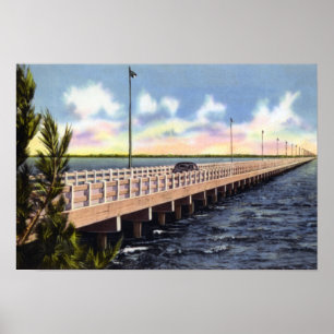 Póster Ponte de Tampa Florida Gandy