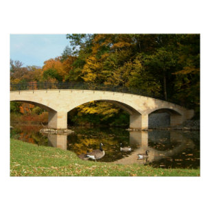 Póster Ponte do arco-íris em queda livre no Grove City C