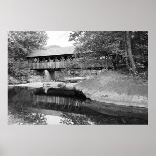 Póster Ponte do rio Domingo