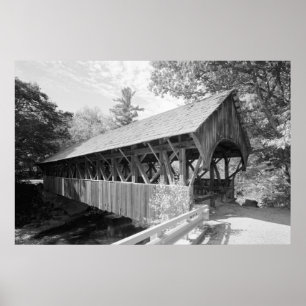 Póster Ponte do rio Domingo