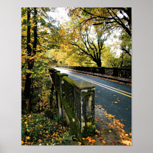 Poster Ponte em Latourell Falls, OR