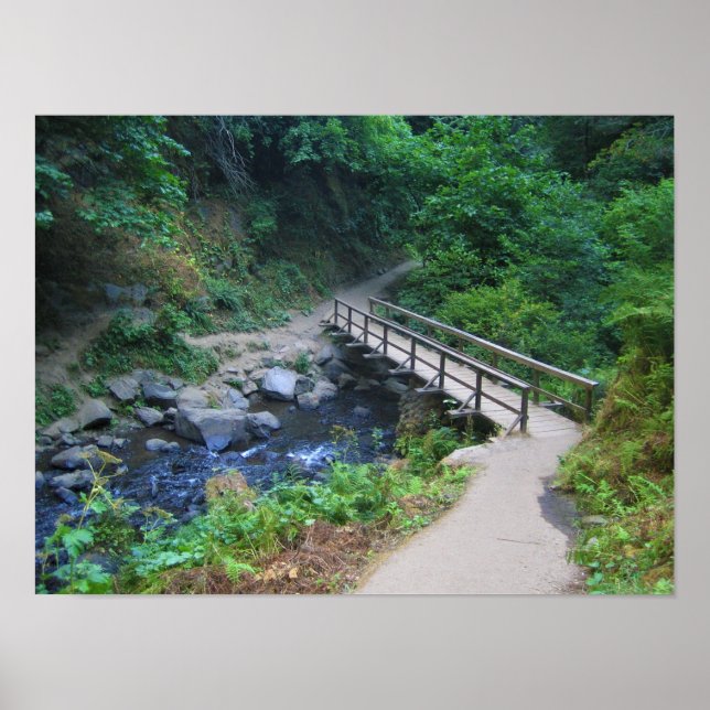 Poster Ponte em Latourell Falls, Oregon (Frente)