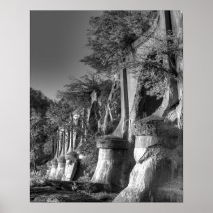 Póster Ponte Interurbana