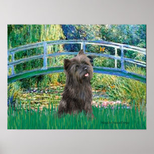 Póster Ponte Lily Pond (Brindle 21)