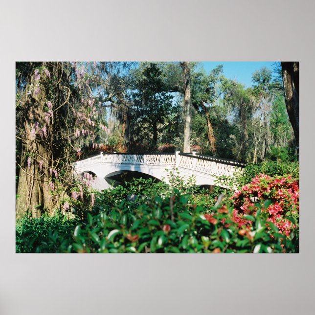 Póster Ponte Magnolia (Frente)