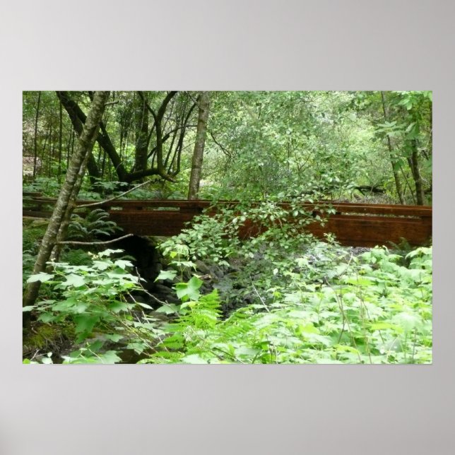Póster Ponte Muir Woods I (Frente)
