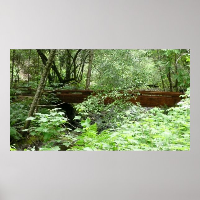 Póster Ponte Muir Woods I (Frente)