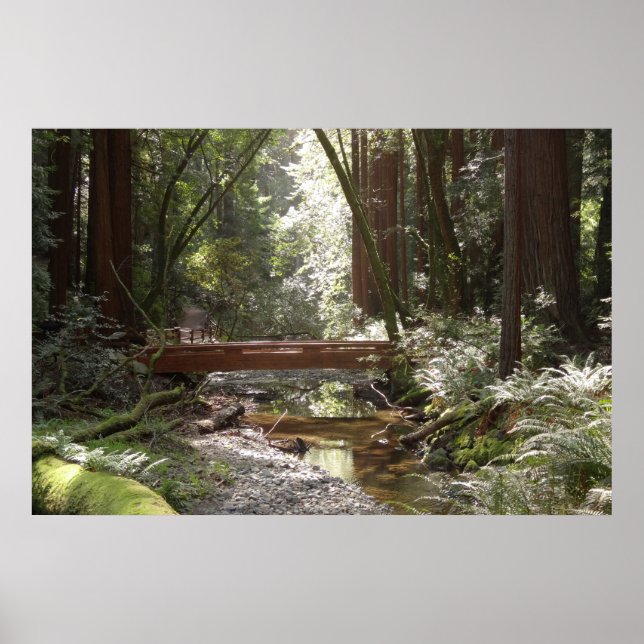 Póster Ponte Muir Woods II (Frente)
