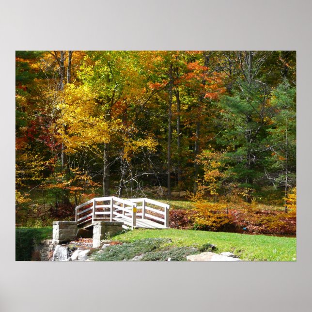 Poster Ponte Seven Springs Fall I Paisagem de Outono (Frente)