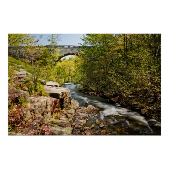 Póster Ponte sobre o rio (Frente)