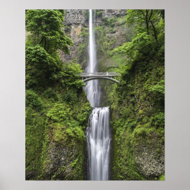 Poster Ponte sobre paisagem de cascata (Frente)