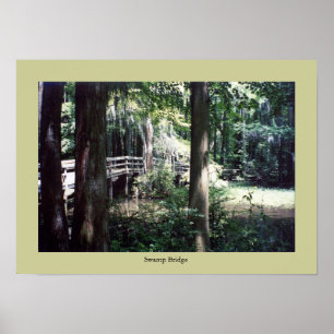 Póster Ponte Swamp