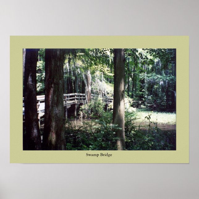 Póster Ponte Swamp (Frente)