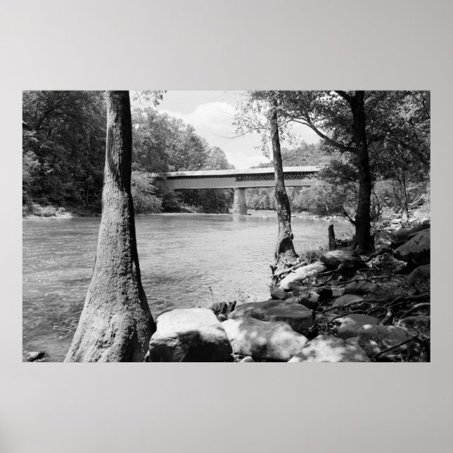 Poster Ponte Swann (Frente)