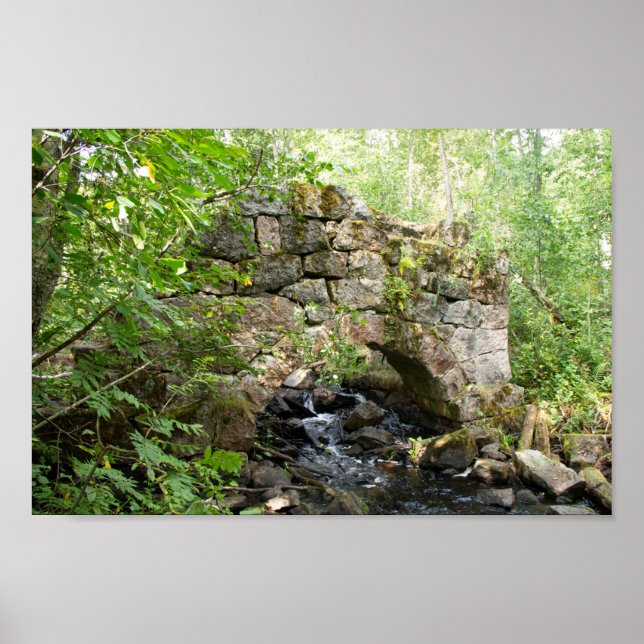 Poster Ponte velha destruída na floresta (Frente)