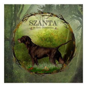 Póster Ponteiro alemão curto,,SZANTA da Nemrod