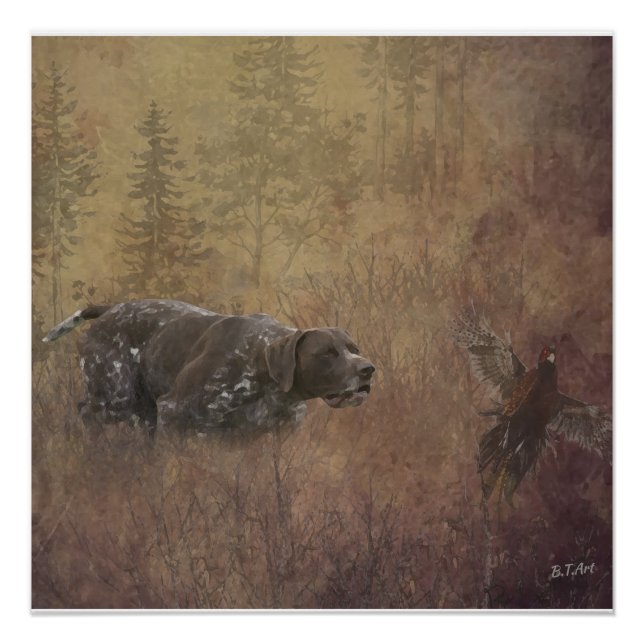 Póster Ponteiro alemão Shorthired (Frente)