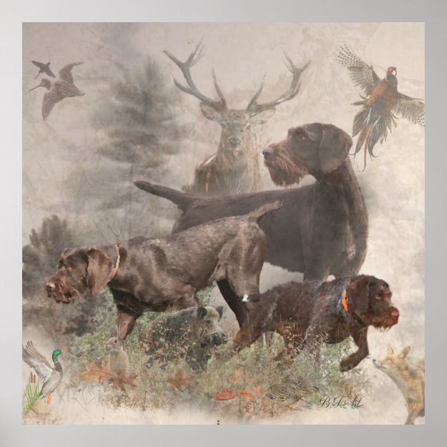 Poster Ponteiro alemão Wirehaired (Frente)