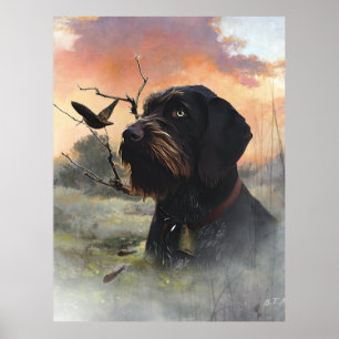 Poster Ponteiro alemão Wirehaired