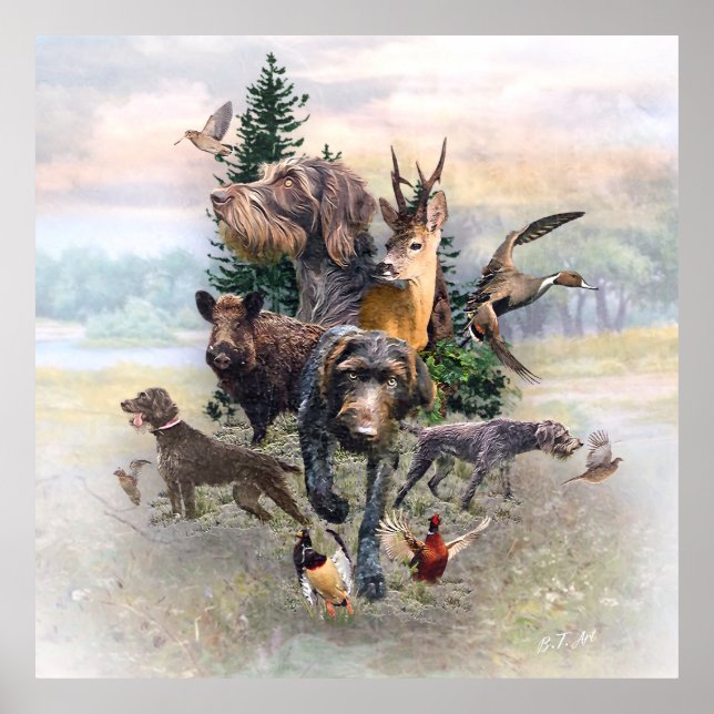 Poster Ponteiro alemão Wirehaired (Frente)