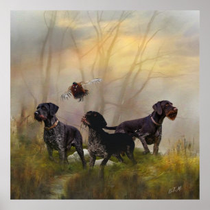 Poster Ponteiro alemão Wirehaired