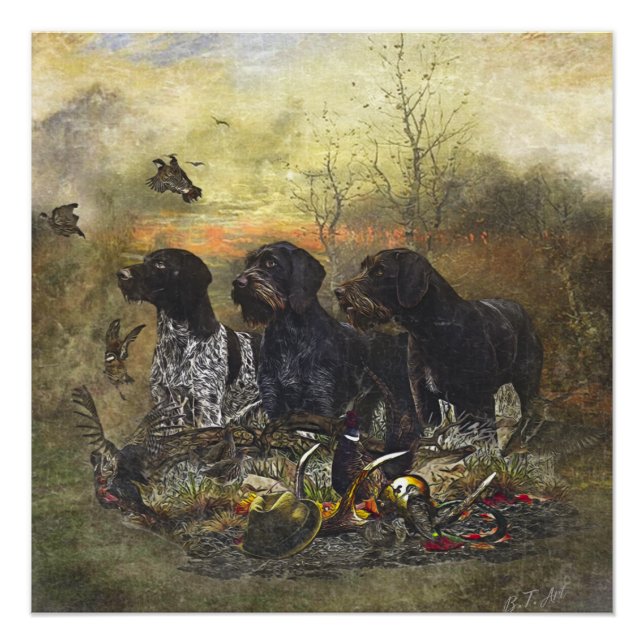 Póster Ponteiro alemão Wirehaired (Frente)