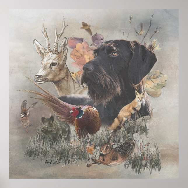 Poster Ponteiro alemão Wirehaired (Frente)