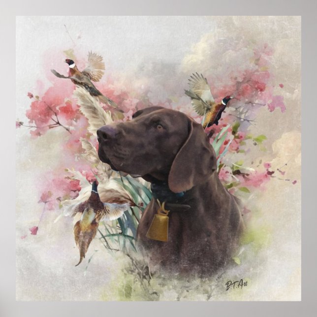 Poster Ponteiro curto alemão (Frente)