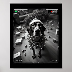 Poster Ponteiro De Bairro Alemão De Natal Capturado No Ca