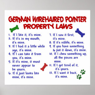 POSTER PONTEIRO WIREHAIRED ALEMÃO PL2