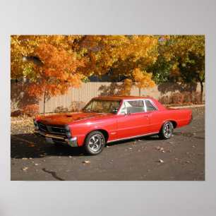 Poster Pontiac 1965 GTO