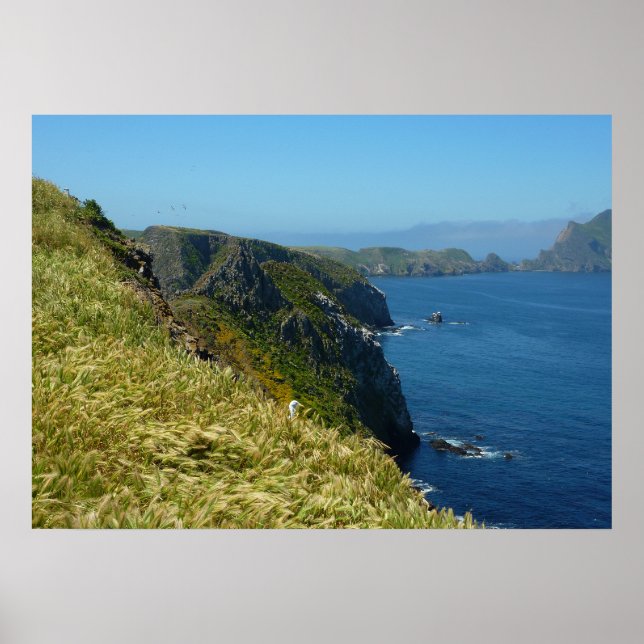 Poster Ponto de Inspiração de Anacapa II nas Ilhas do Can (Frente)