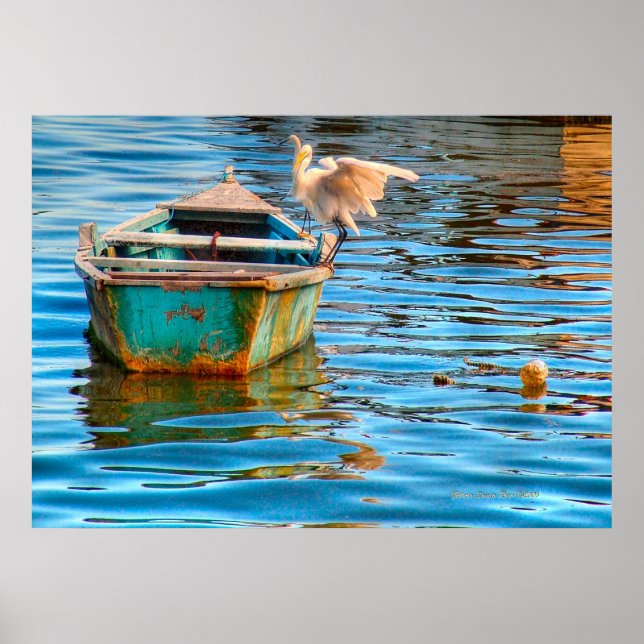 Poster Ponto de repouso (Frente)