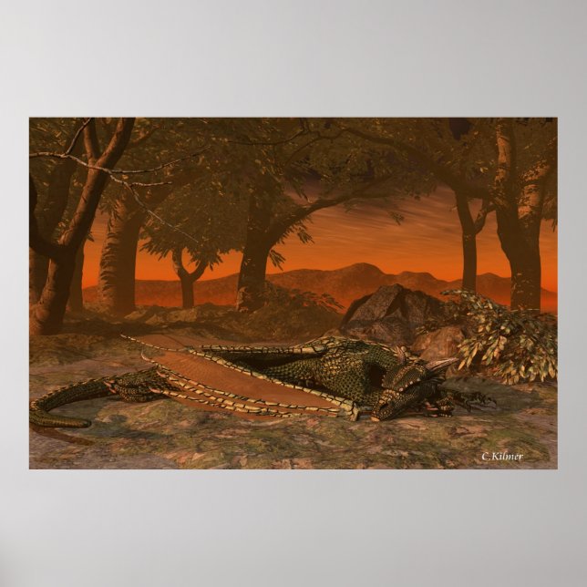 Póster Ponto de repouso (Frente)