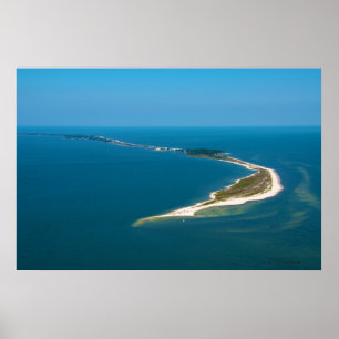 Póster Ponto do jacaré, Florida