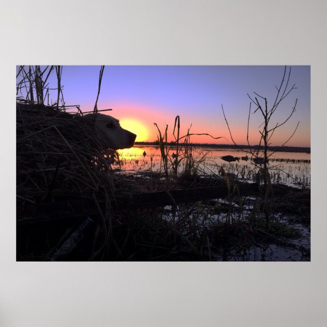 Póster Ponto no cesto do Arkansas Duck (Frente)