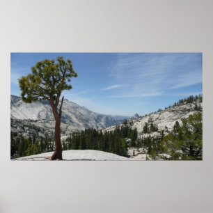 Poster Ponto Olmsted I no Parque Nacional de Yosemite