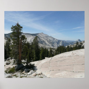 Poster Ponto Olmsted II do Parque Nacional Yosemite