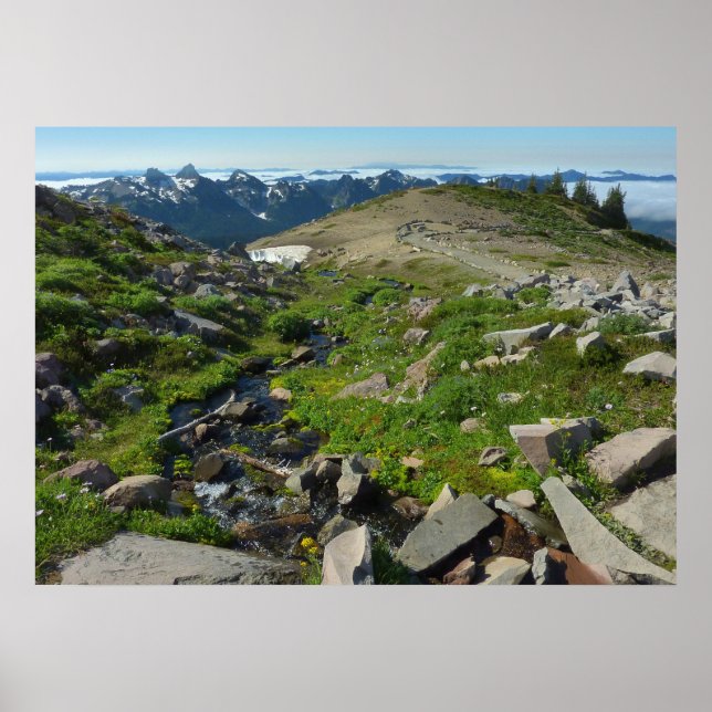 Poster Ponto Panorama do Monte Rainier (Frente)