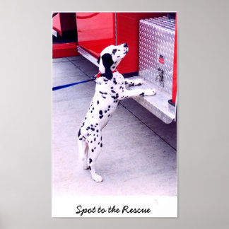 Poster Ponto para o resgate