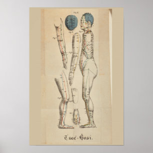 Poster Pontos 1825 do meridiano da acupunctura do francê