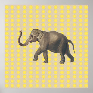 Póster Pontos de humor de tempero de mostarda com elefant