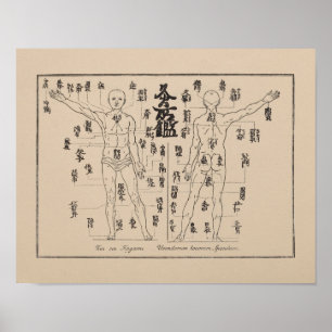 Póster Pontos de Moxa na acupunctura japonesa Moxibustion