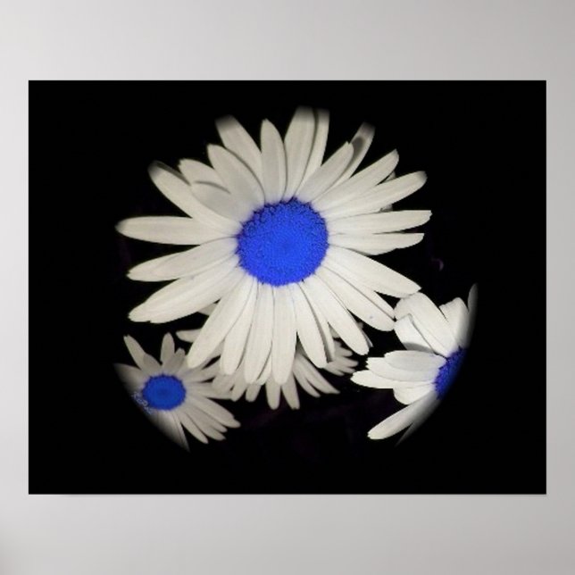 Poster Pontos flutuantes (Frente)