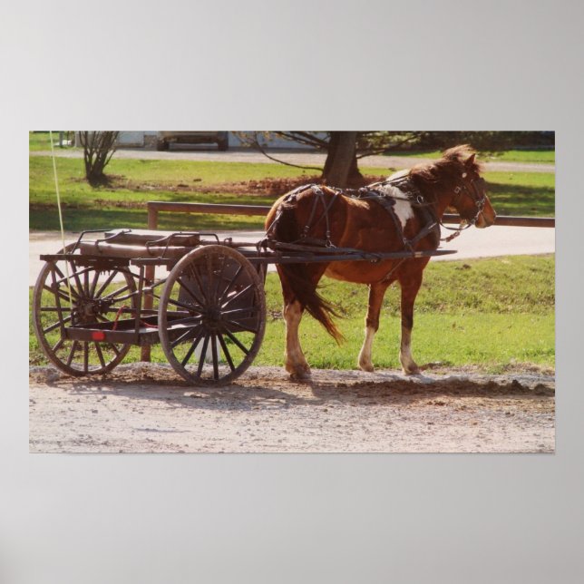 Poster Pony Cart (Frente)