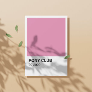 Póster Pony Club Song Pink Color - Fronteira Branca