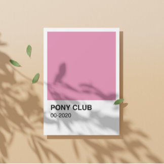 Póster Pony Club Song Pink Color - Fronteira Branca