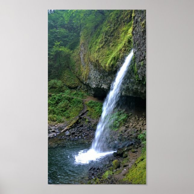 Poster Ponytail Falls, Oregon (Frente)