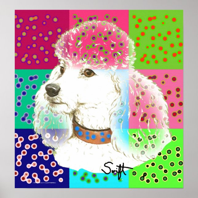 Poster Poodle (Frente)